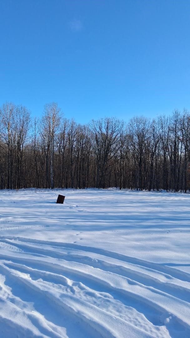 S825 Tower Road, Boyd, WI — photo 8