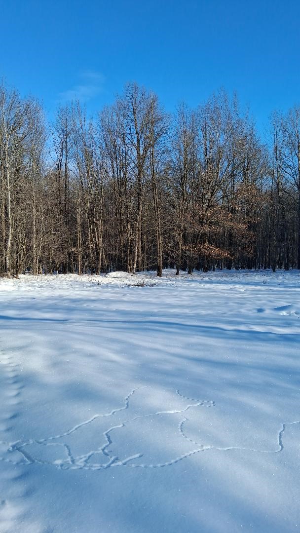 S825 Tower Road, Boyd, WI — photo 9