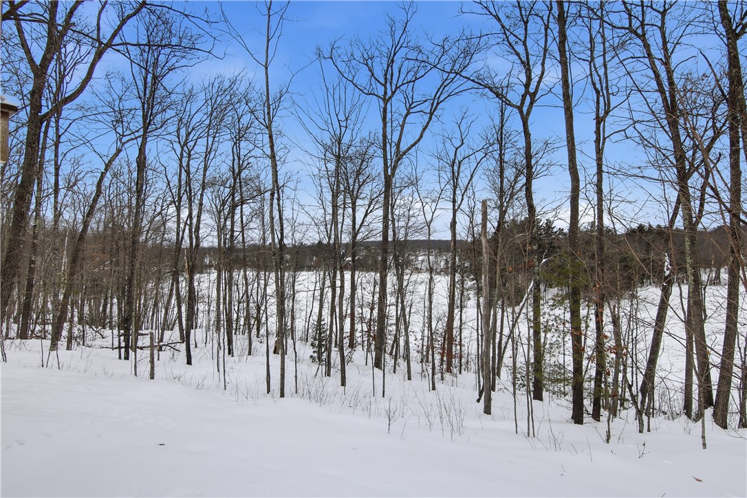 10471-Scarlet-Tanager-Hayward-WI-54843-8