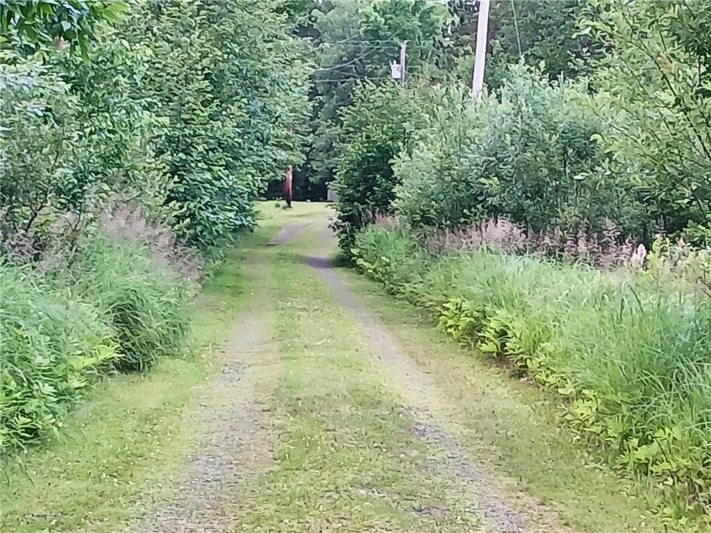 10922-Stone-Solon-Springs-WI-54873-2