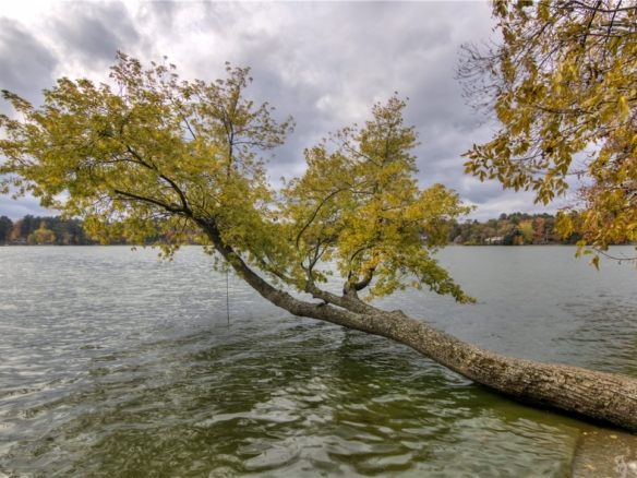 Residentialhouse for sale picture with an address of  1208 22nd Street in Cameron and a list price of 657000