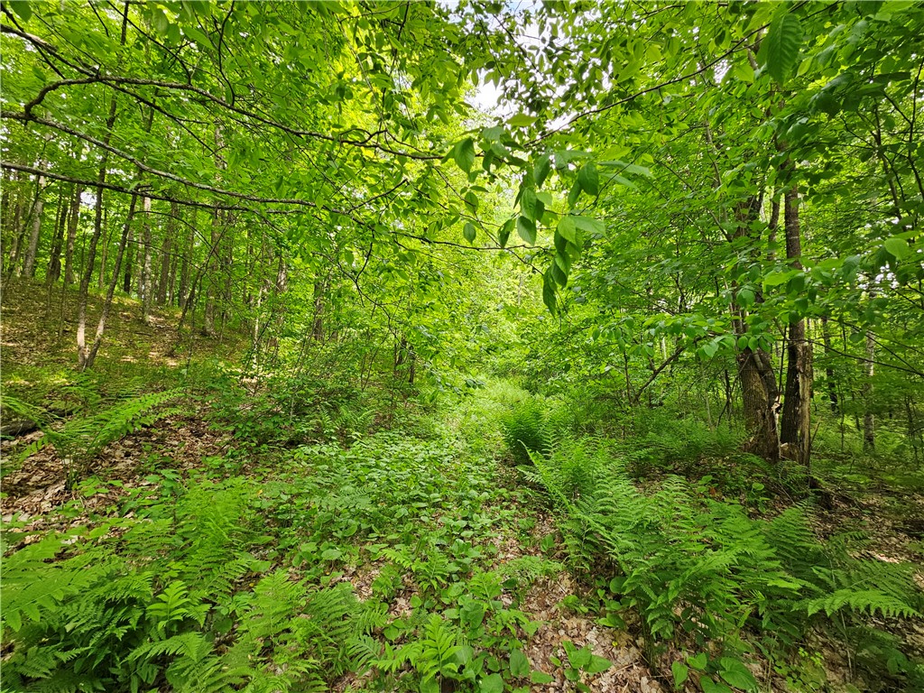 12989W-Atlas-Hayward-WI-54843-6