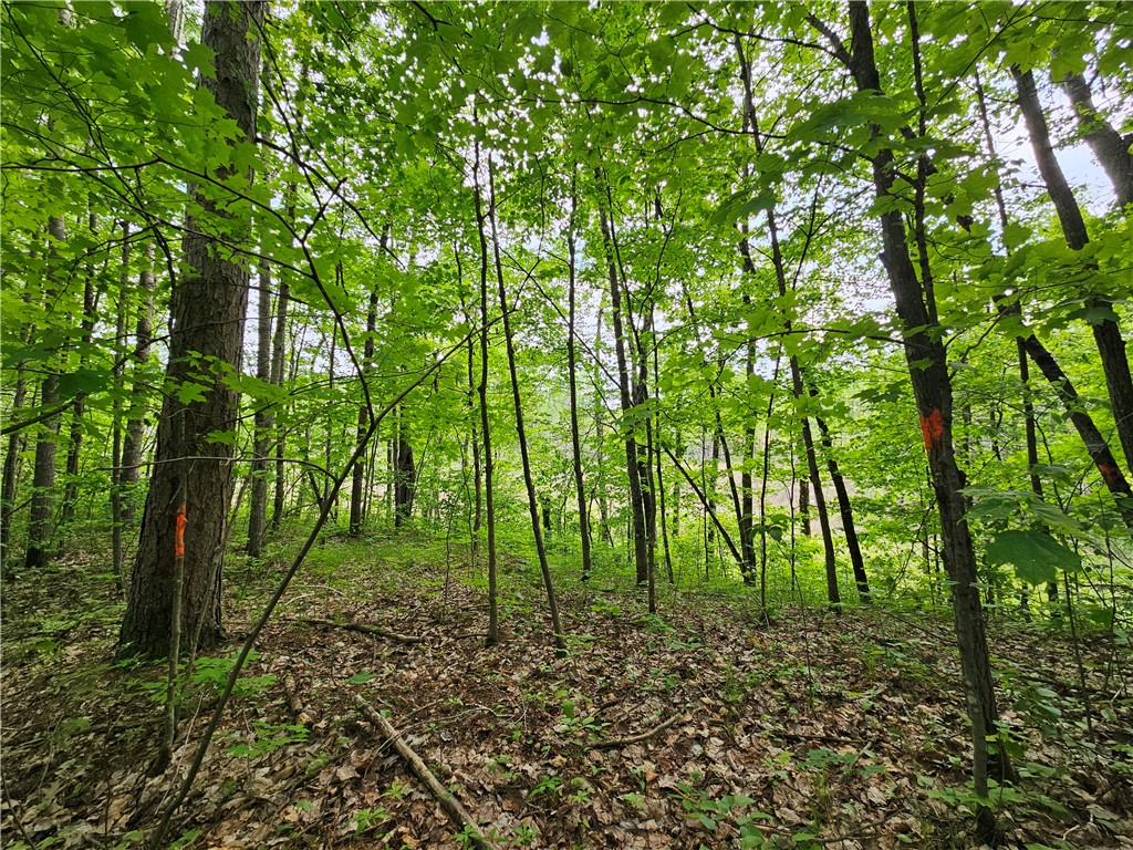 12989W-Atlas-Hayward-WI-54843-7