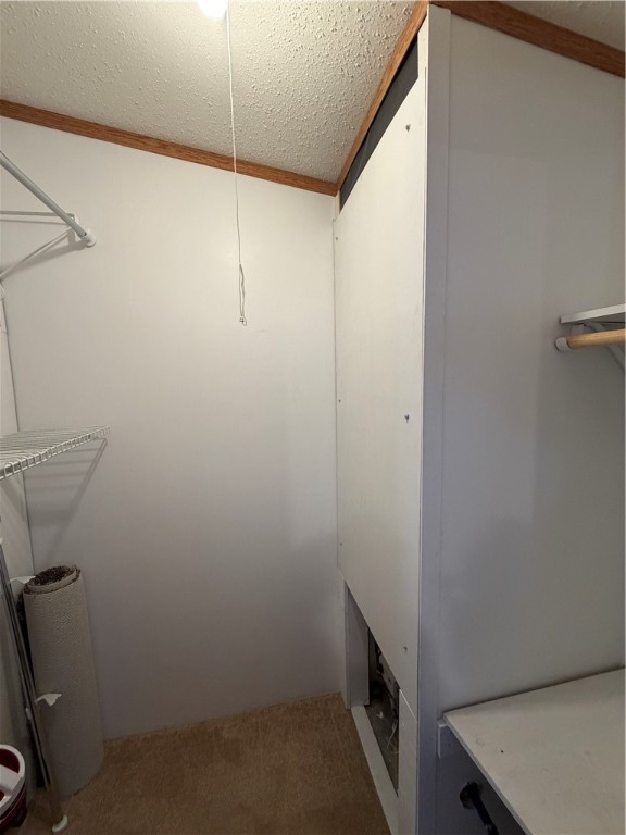 15619-Rickco-Hayward-WI-54843-5