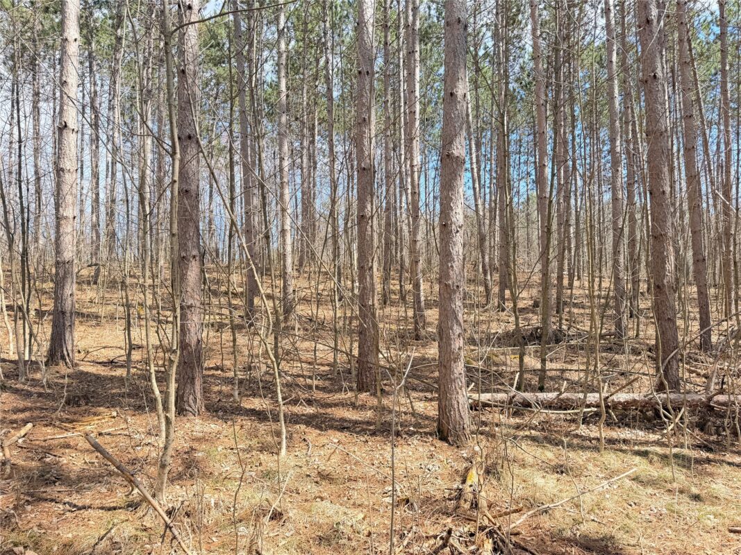 Land at 20 Acres Star Lake Road, Rice Lake, WI 54868 — photo 10