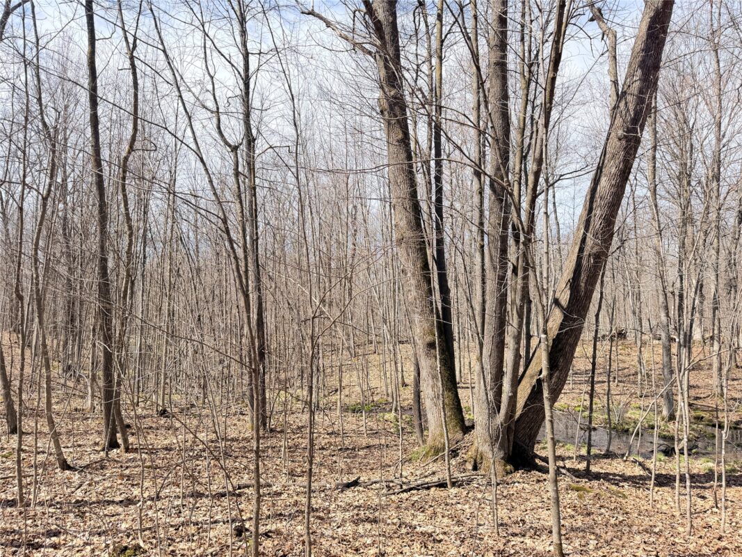 Land at 20 Acres Star Lake Road, Rice Lake, WI 54868 — photo 12