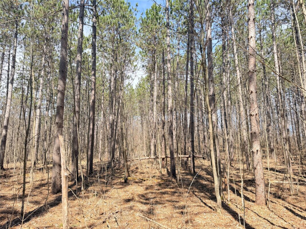 Land at 20 Acres Star Lake Road, Rice Lake, WI 54868 — photo 13