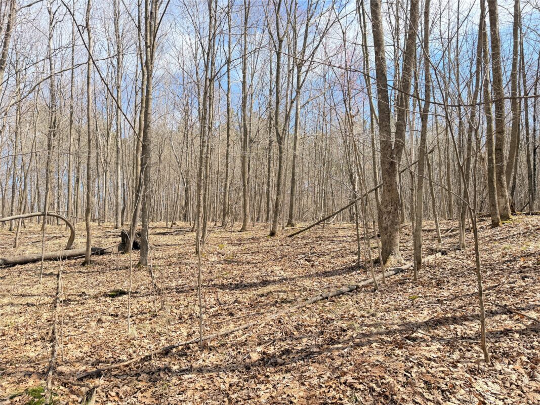 Land at 20 Acres Star Lake Road, Rice Lake, WI 54868 — photo 14