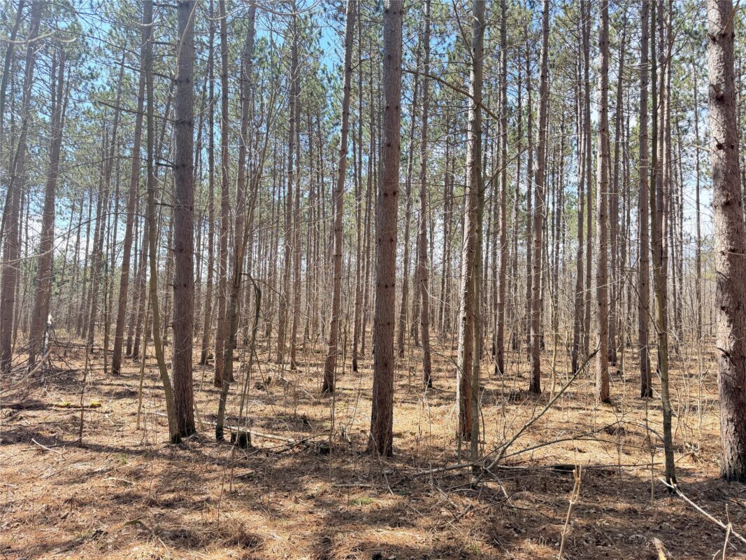 Land at 20 Acres Star Lake Road, Rice Lake, WI 54868 — photo 15