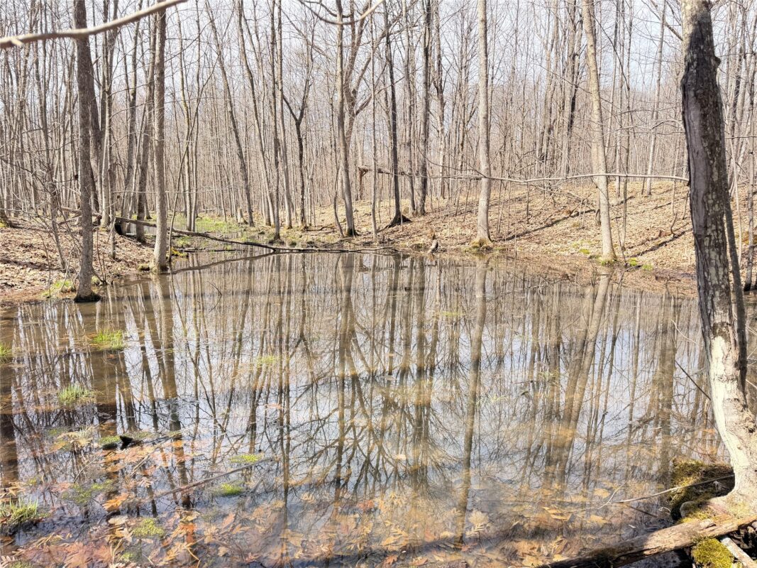 Land at 20 Acres Star Lake Road, Rice Lake, WI 54868 — photo 17