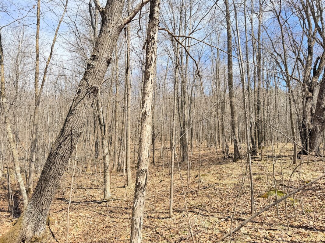 Land at 20 Acres Star Lake Road, Rice Lake, WI 54868 — photo 19