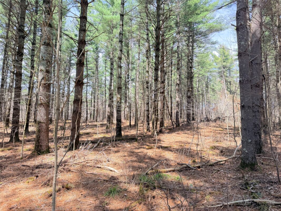 Land at 20 Acres Star Lake Road, Rice Lake, WI 54868 — photo 20