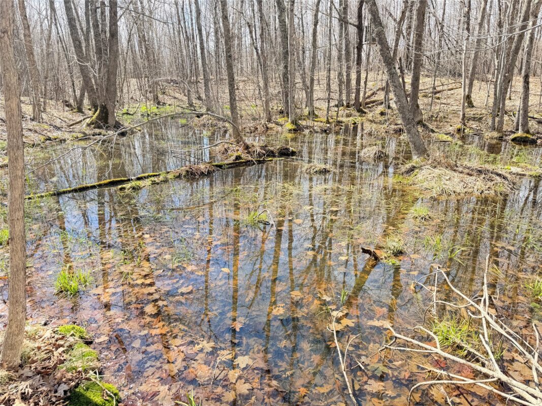 Land at 20 Acres Star Lake Road, Rice Lake, WI 54868 — photo 21