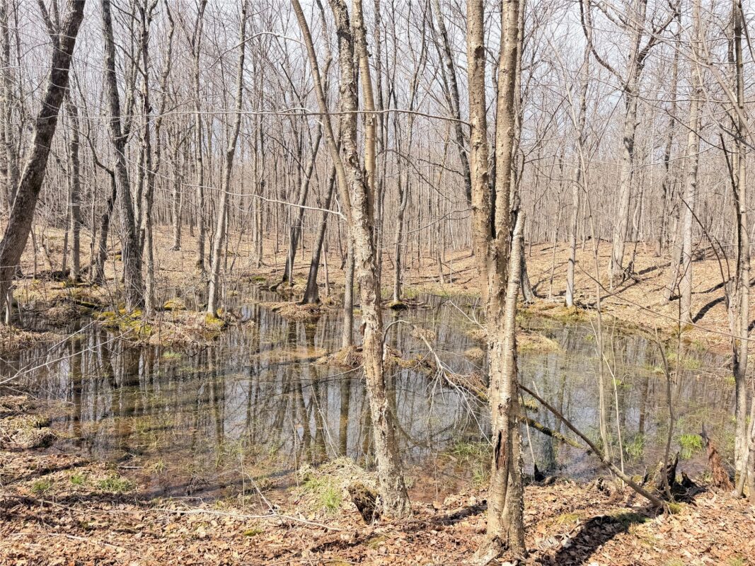 Land at 20 Acres Star Lake Road, Rice Lake, WI 54868 — photo 23