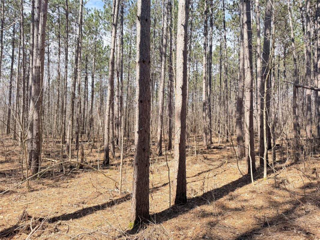 Land at 20 Acres Star Lake Road, Rice Lake, WI 54868 — photo 24