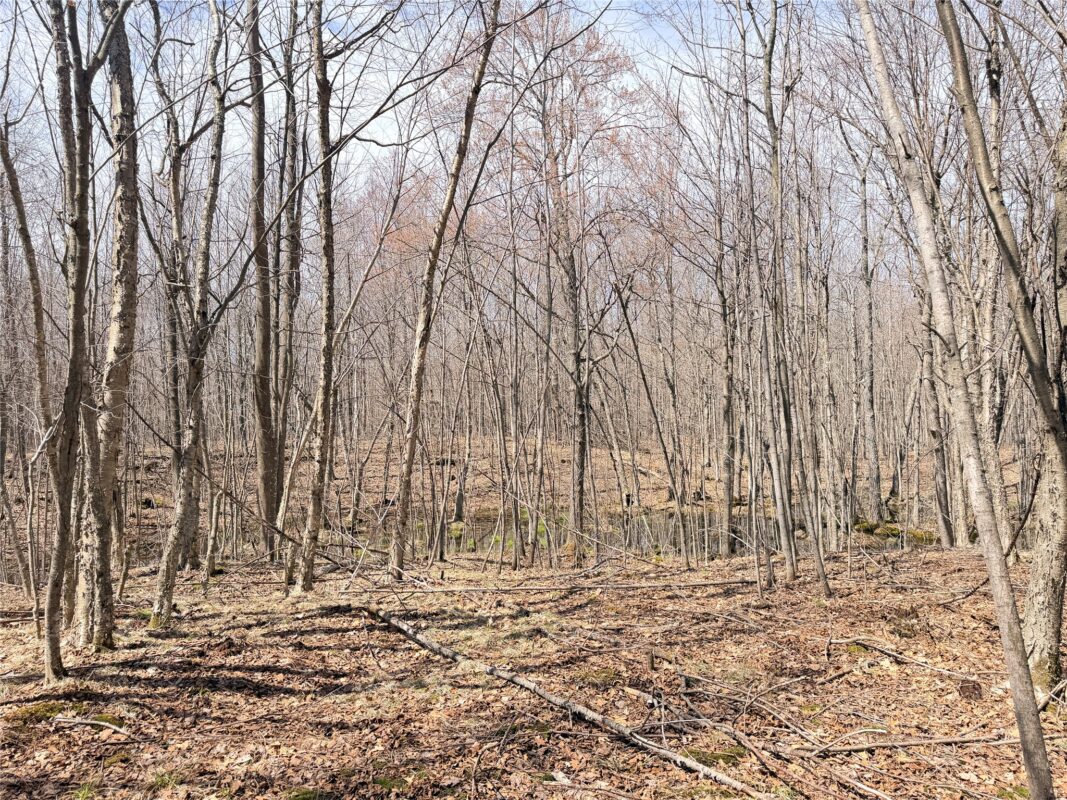 Land at 20 Acres Star Lake Road, Rice Lake, WI 54868 — photo 25