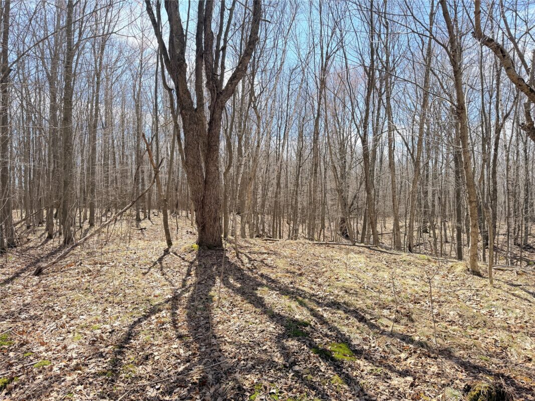 Land at 20 Acres Star Lake Road, Rice Lake, WI 54868 — photo 26