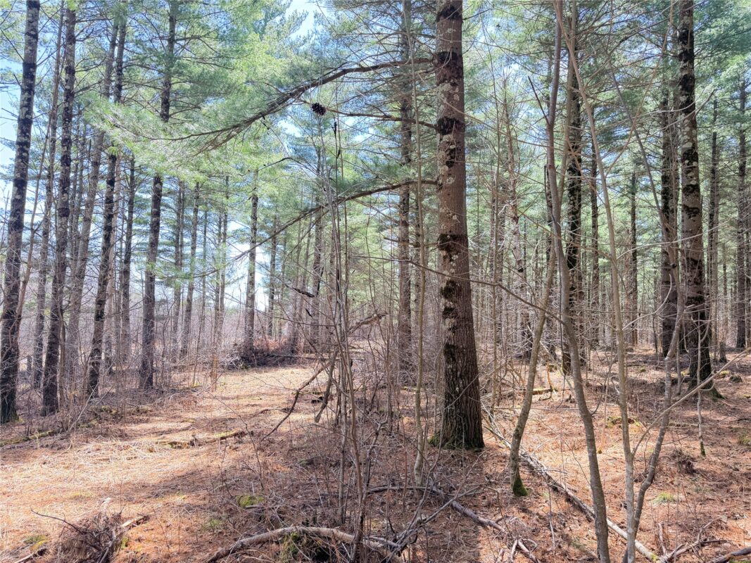 Land at 20 Acres Star Lake Road, Rice Lake, WI 54868 — photo 31