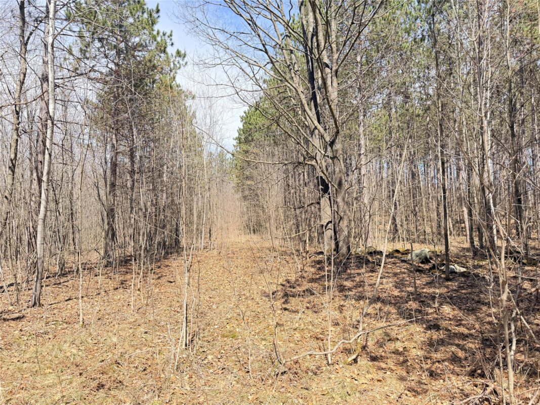 Land at 20 Acres Star Lake Road, Rice Lake, WI 54868 — photo 33