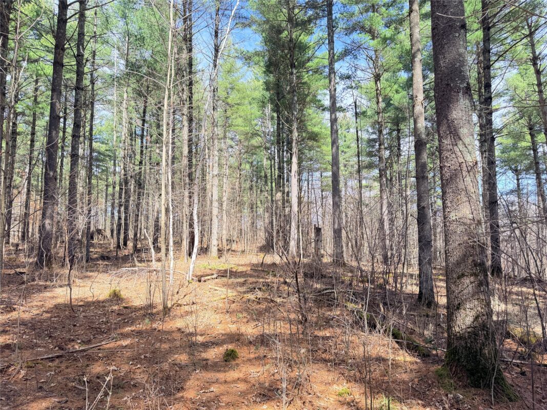 Land at 20 Acres Star Lake Road, Rice Lake, WI 54868 — photo 34