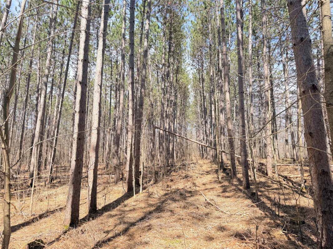 Land at 20 Acres Star Lake Road, Rice Lake, WI 54868 — photo 35