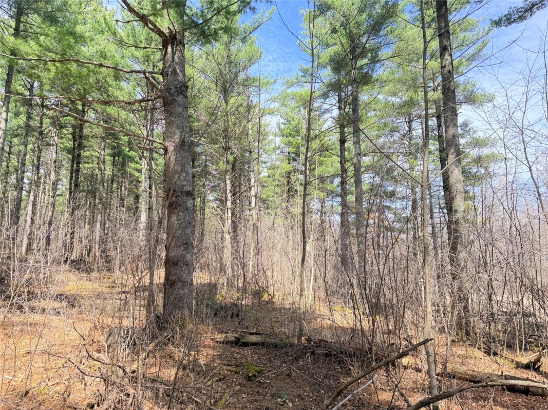 Land at 20 Acres Star Lake Road, Rice Lake, WI 54868 — photo 36