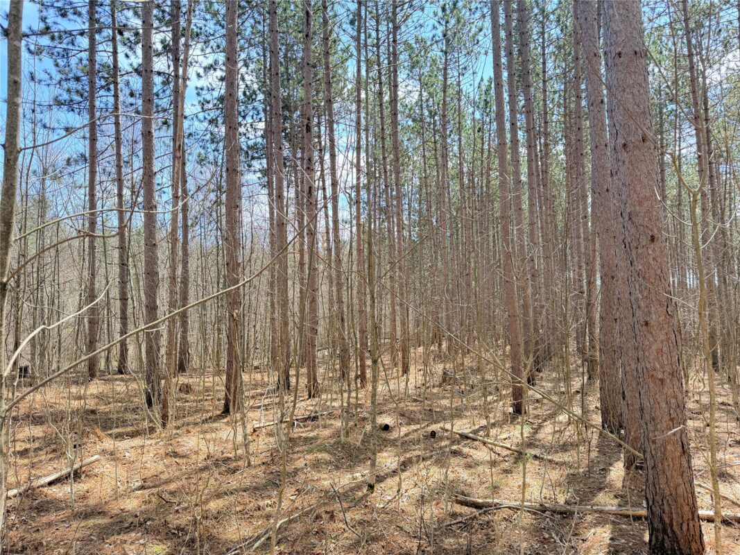 Land at 20 Acres Star Lake Road, Rice Lake, WI 54868 — photo 8