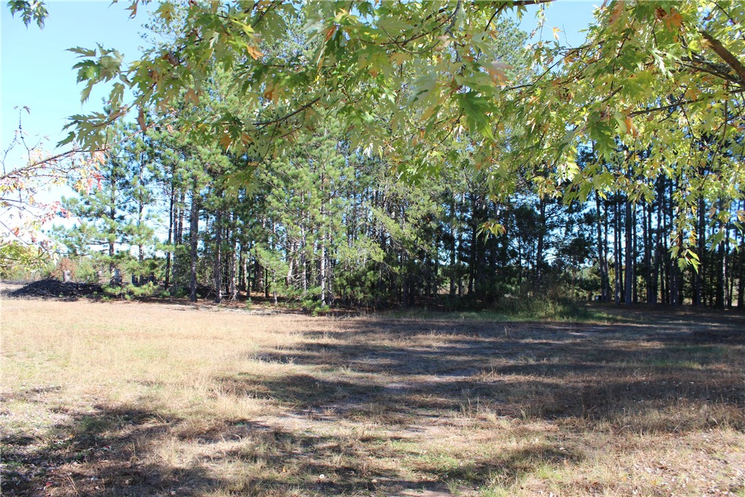 24219-Larson-Grantsburg-WI-54840-5