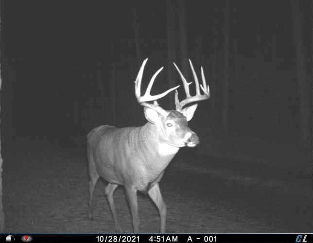 2424-12-34-Cameron-WI-54822-7