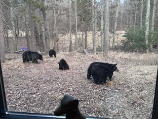 28478-Jesse-Ryan-Danbury-WI-54830-4