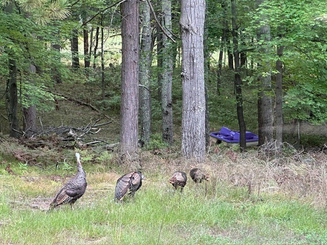 28478-Jesse-Ryan-Danbury-WI-54830-9