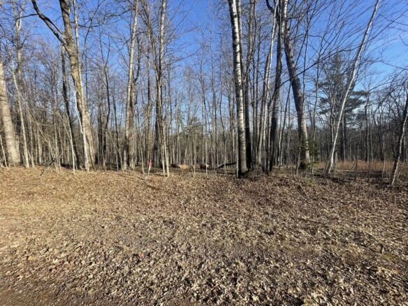 2897 29 7/8 Avenue Birchwood WI 54817 — photo 1