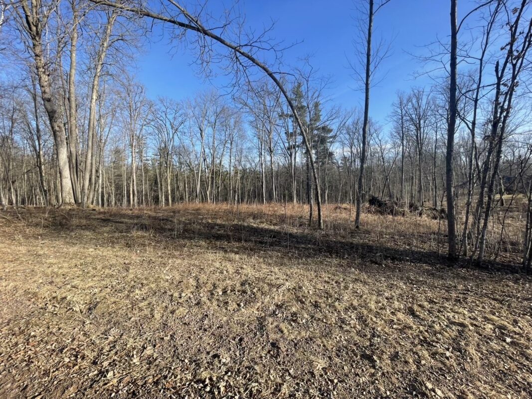 2897 29 7/8 Avenue Birchwood WI 54817 — photo 2