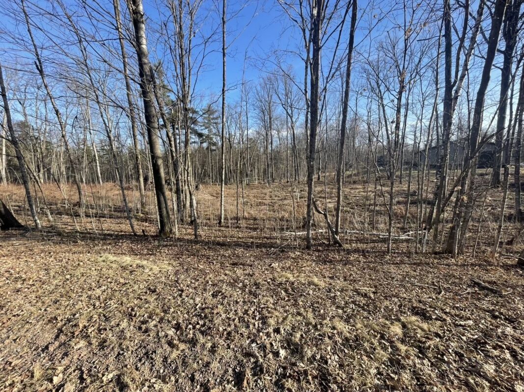 2897 29 7/8 Avenue Birchwood WI 54817 — photo 3
