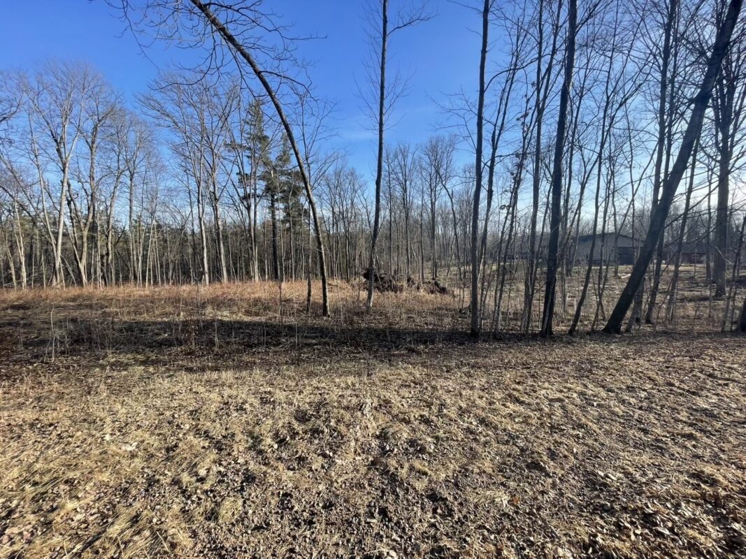 2897 29 7/8 Avenue Birchwood WI 54817 — photo 4