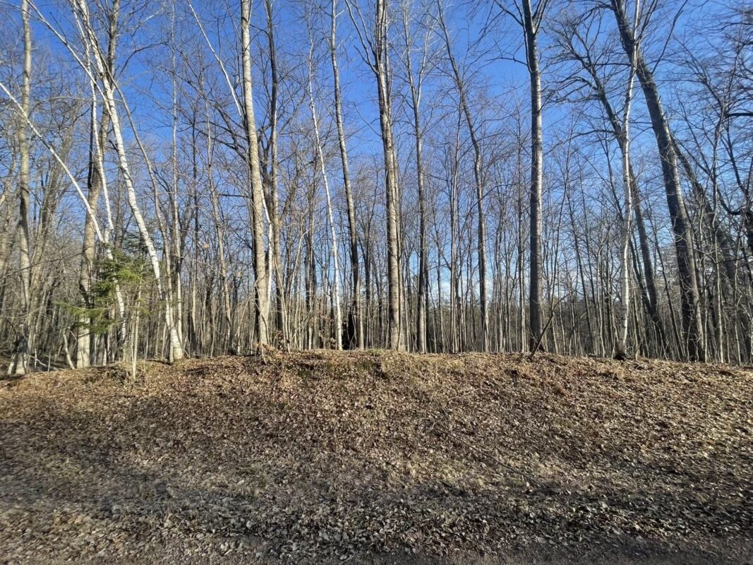 2897 29 7/8 Avenue Birchwood WI 54817 — photo 7