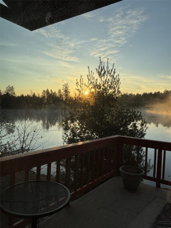 30276 Nicaboyne Lake Road Danbury WI 54830 — photo 44