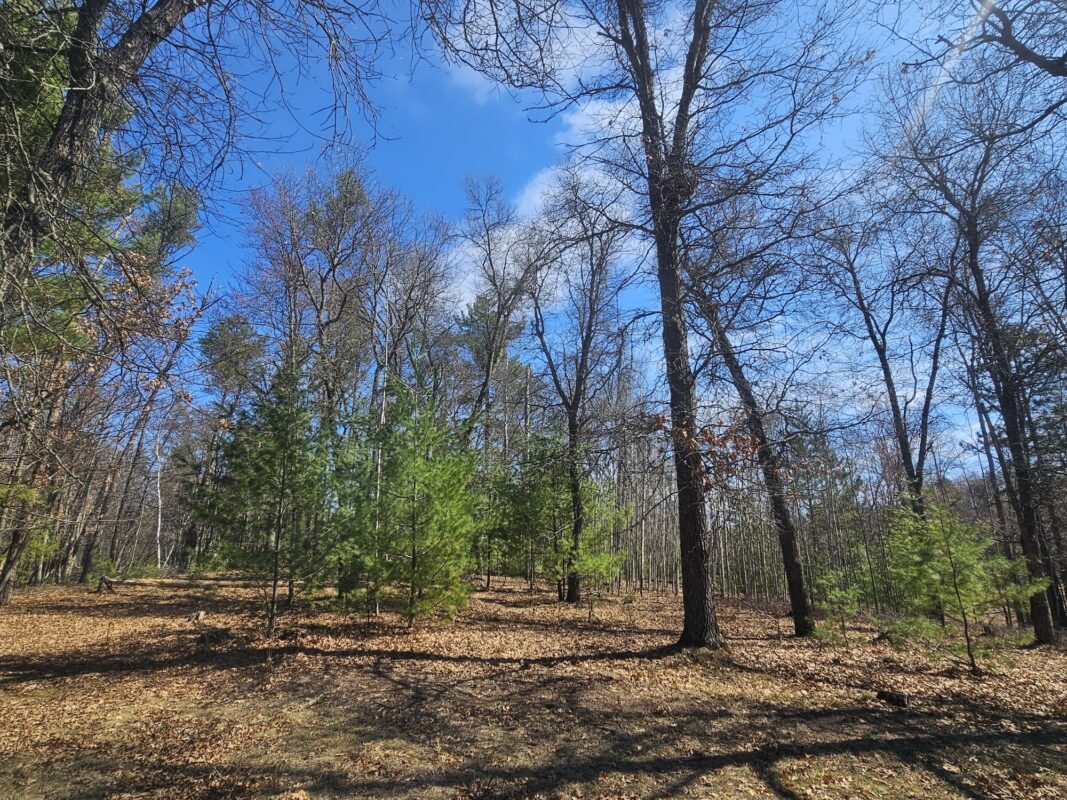 3568 Deer Lodge Lane, Danbury, WI — photo 41
