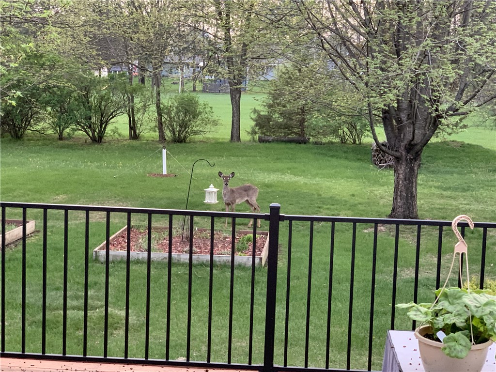 720-Rose-Black-River-Falls-WI-54615-4