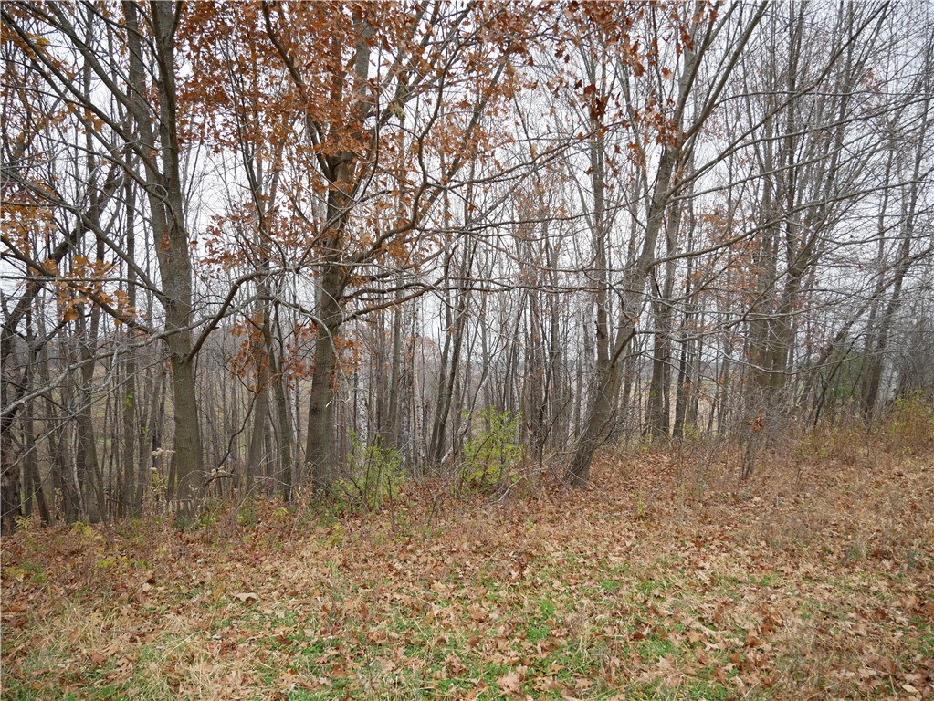 82-12th-Ridgeland-WI-54763-3