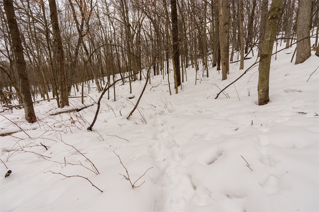 E6783-1090th-Wheeler-WI-54772-5