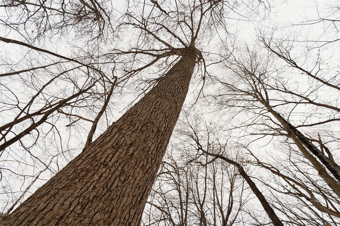 E6783-1090th-Wheeler-WI-54772-7