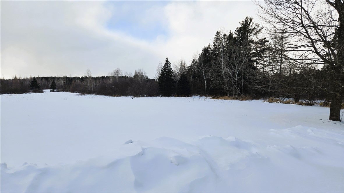 W10153 Old 14 Road  Ladysmith WI 54848