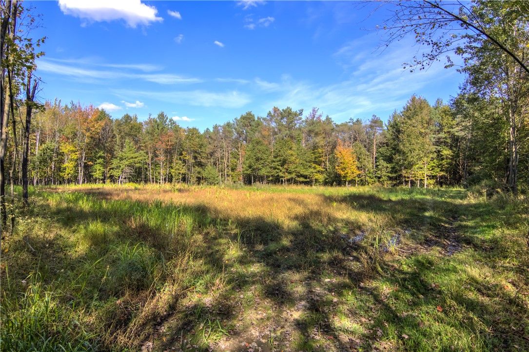 W6674-Poertner-Neillsville-WI-54456-7