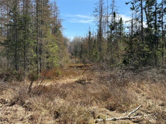 Lot 2 Eaton Road, Hayward, WI