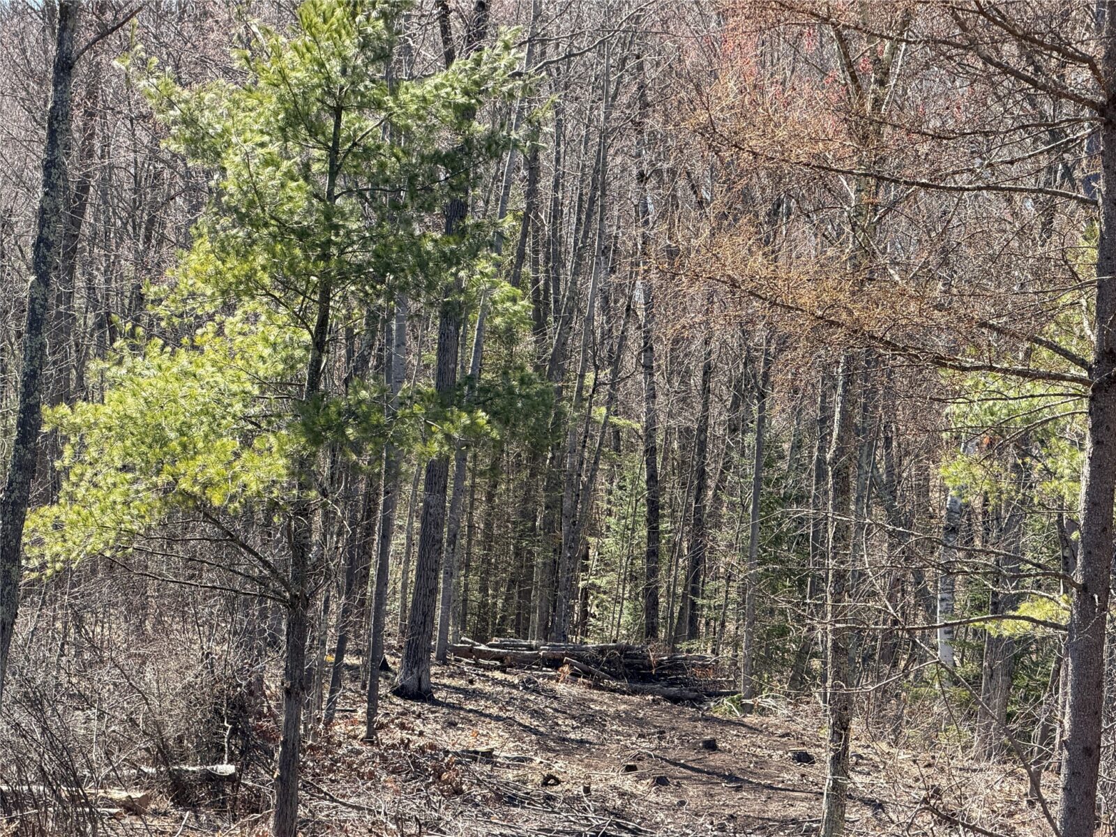 Lot 2 Eaton Road, Hayward, WI — photo 10