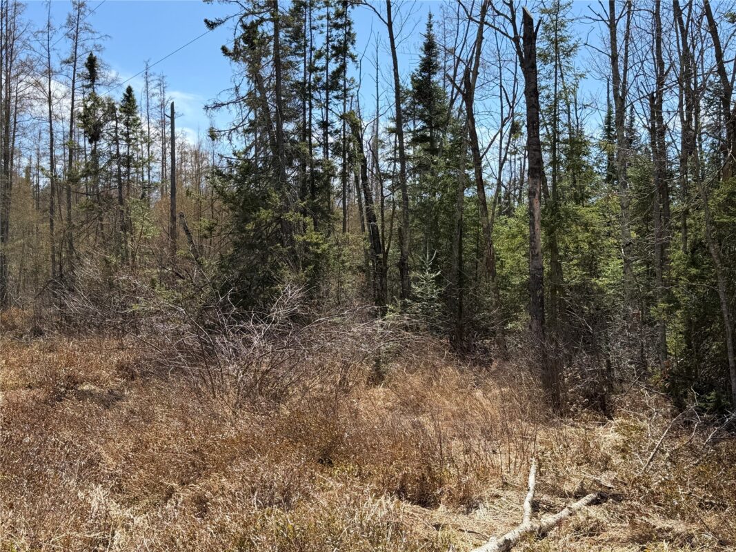 Lot 2 Eaton Road, Hayward, WI — photo 13