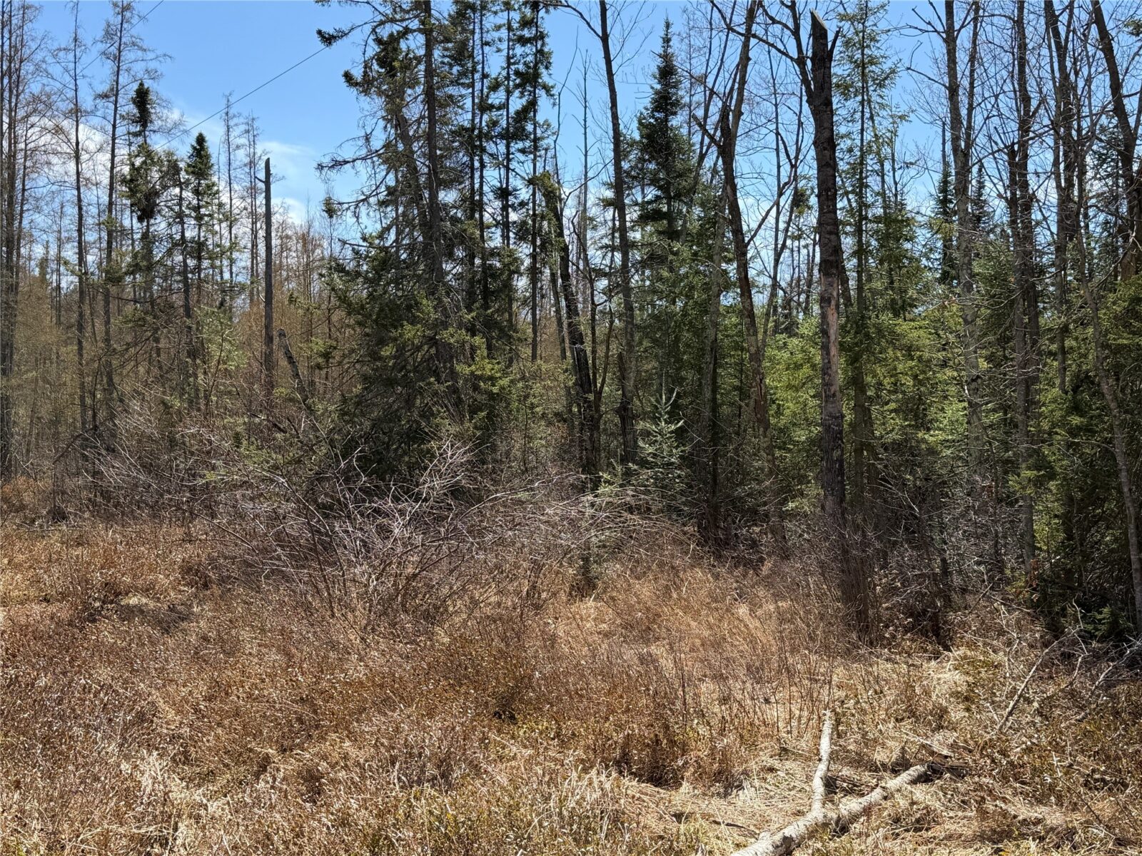 Lot 2 Eaton Road, Hayward, WI — photo 13