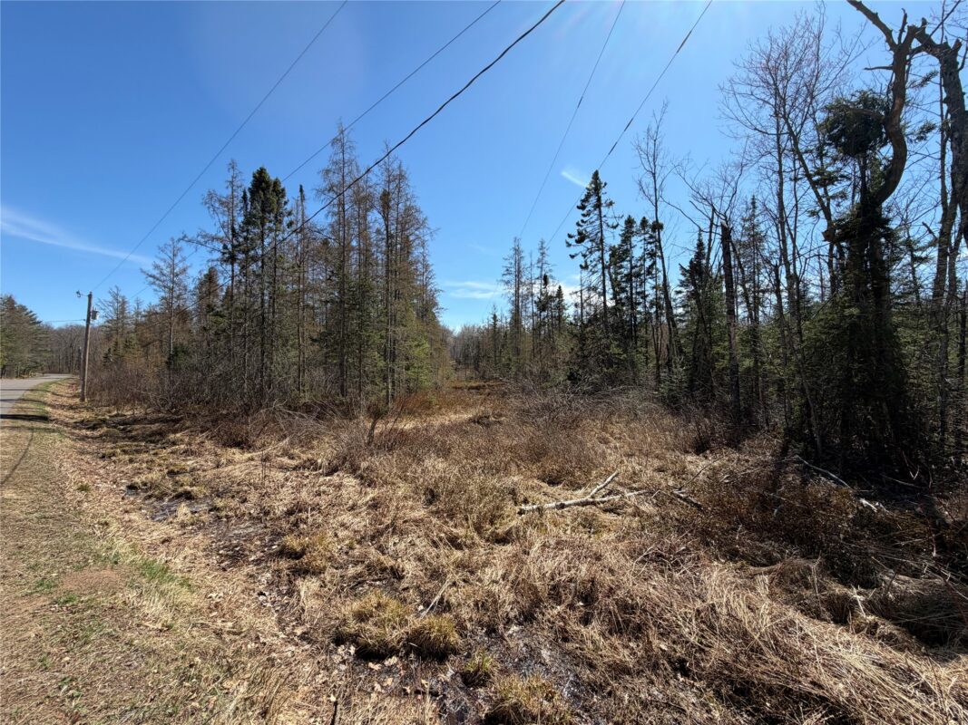 Lot 2 Eaton Road, Hayward, WI — photo 14