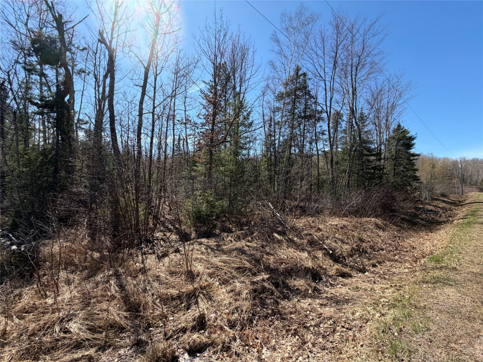 Lot 2 Eaton Road, Hayward, WI — photo 15